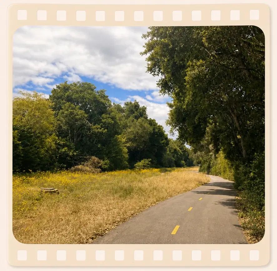 A quiet path curving through a sunny meadow, framed as a strip of film